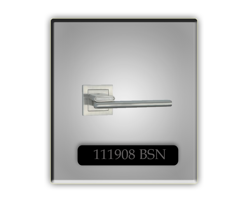 111908-BSN