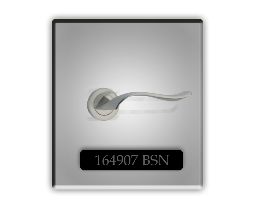 164907-BSN